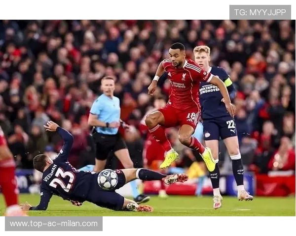 利物浦与拜仁中卫争夺白热化,防线新王花落谁家 利物浦与拜仁中卫争夺白热化,防线新王花落谁家